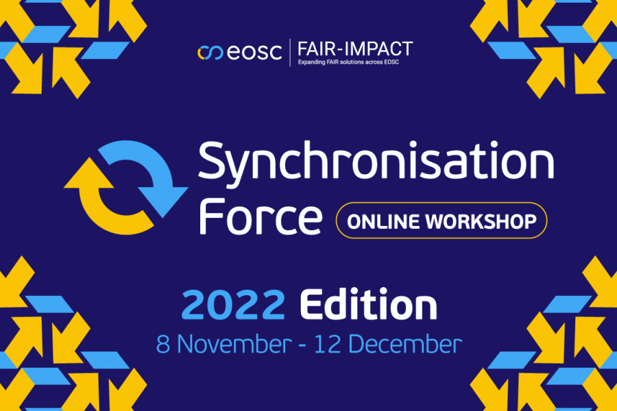 Synchronisation Force 1st Workshop - November 2022