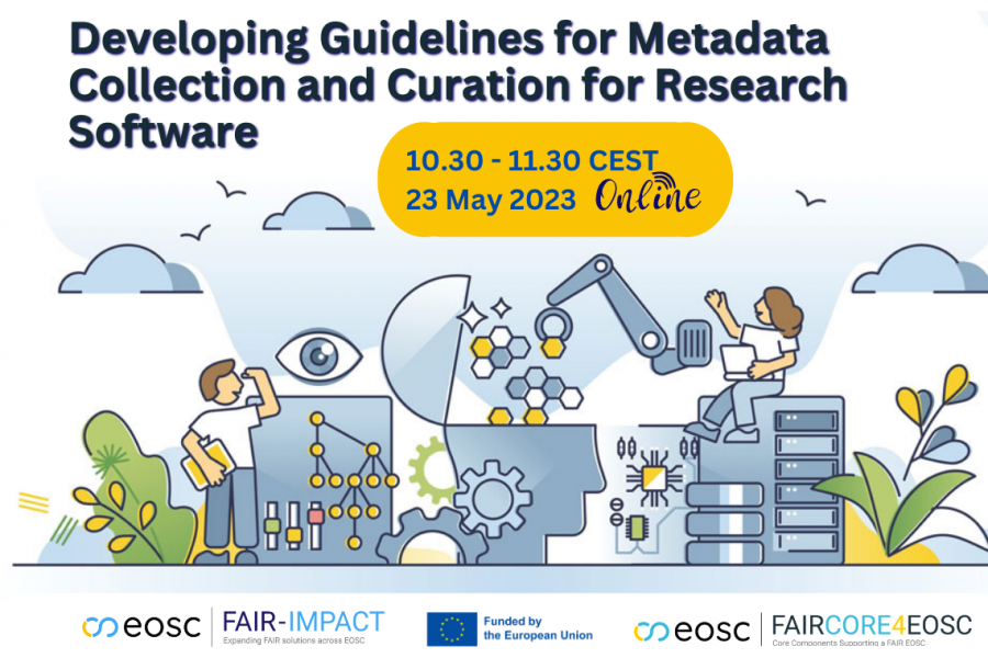 Developing Guidelines for Metadata Collection and Curation for Research Software